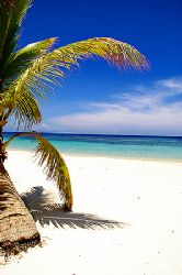 Roatan, Honduras. by Shawn Jackson 